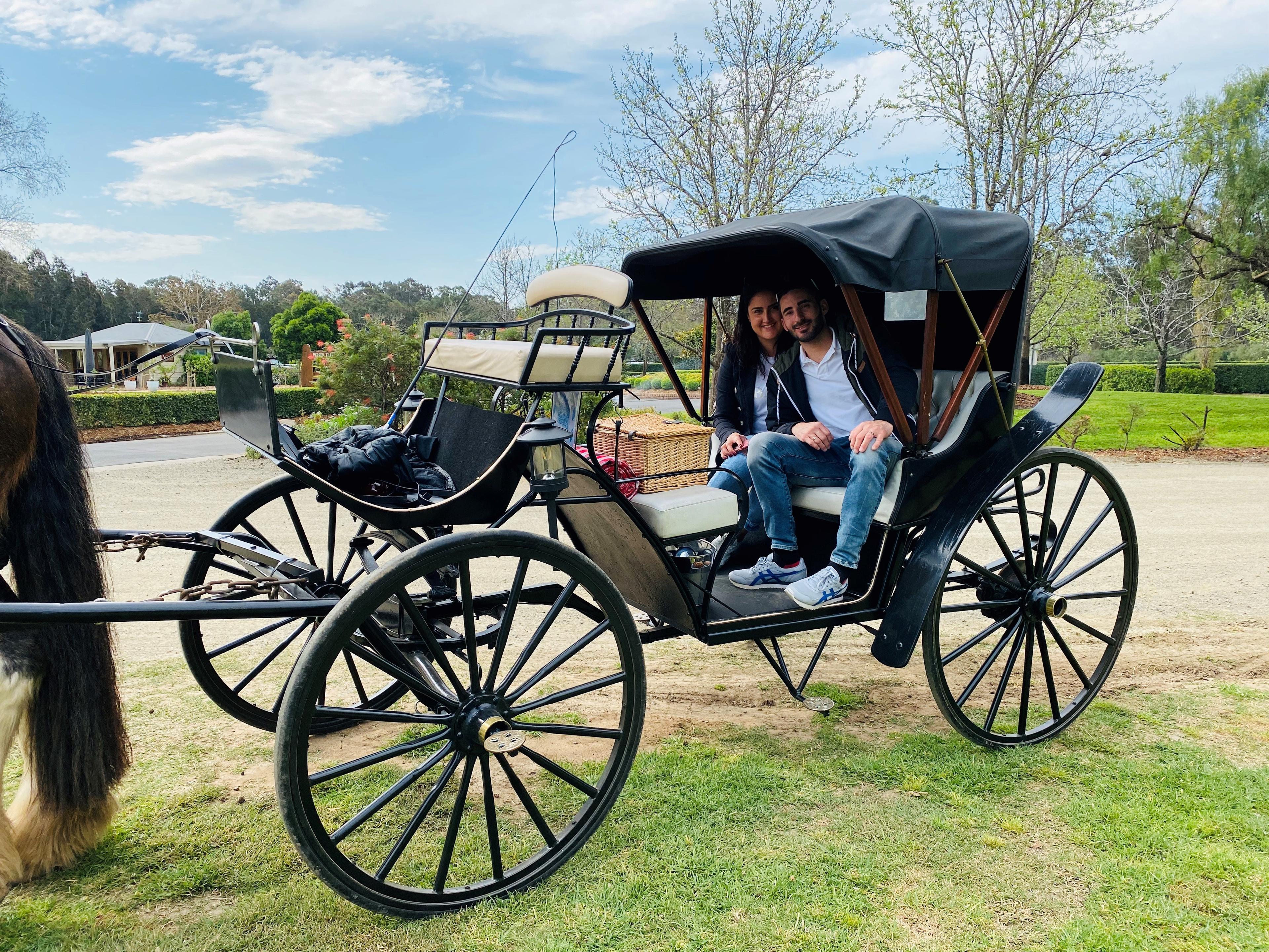 Horse and cart experience at an outdoor event